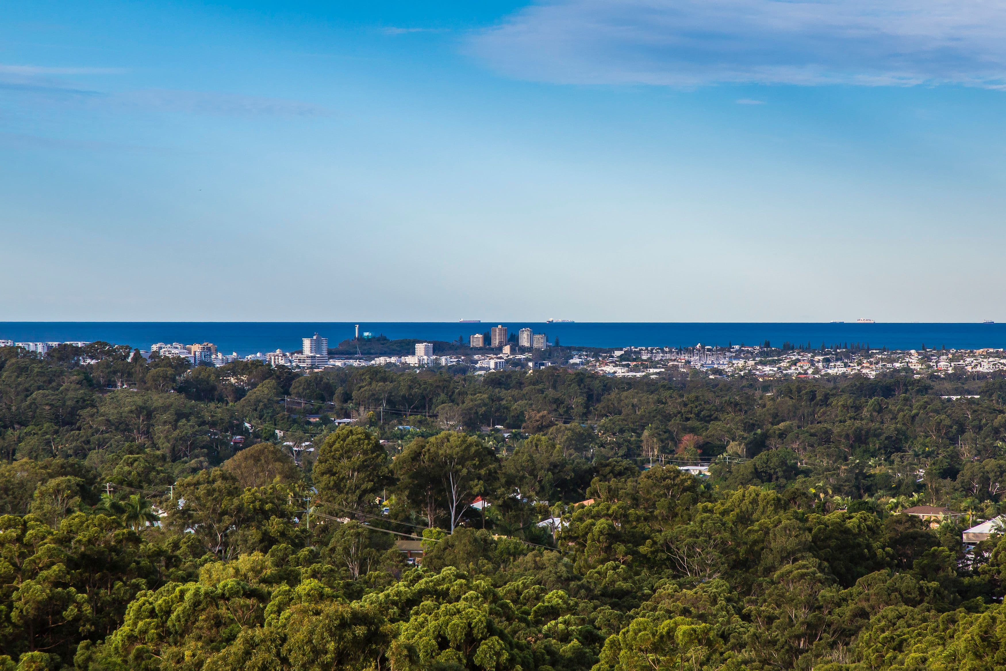 93 Dixon Road, Buderim QLD 4556, Buderim - Thumbnail 4