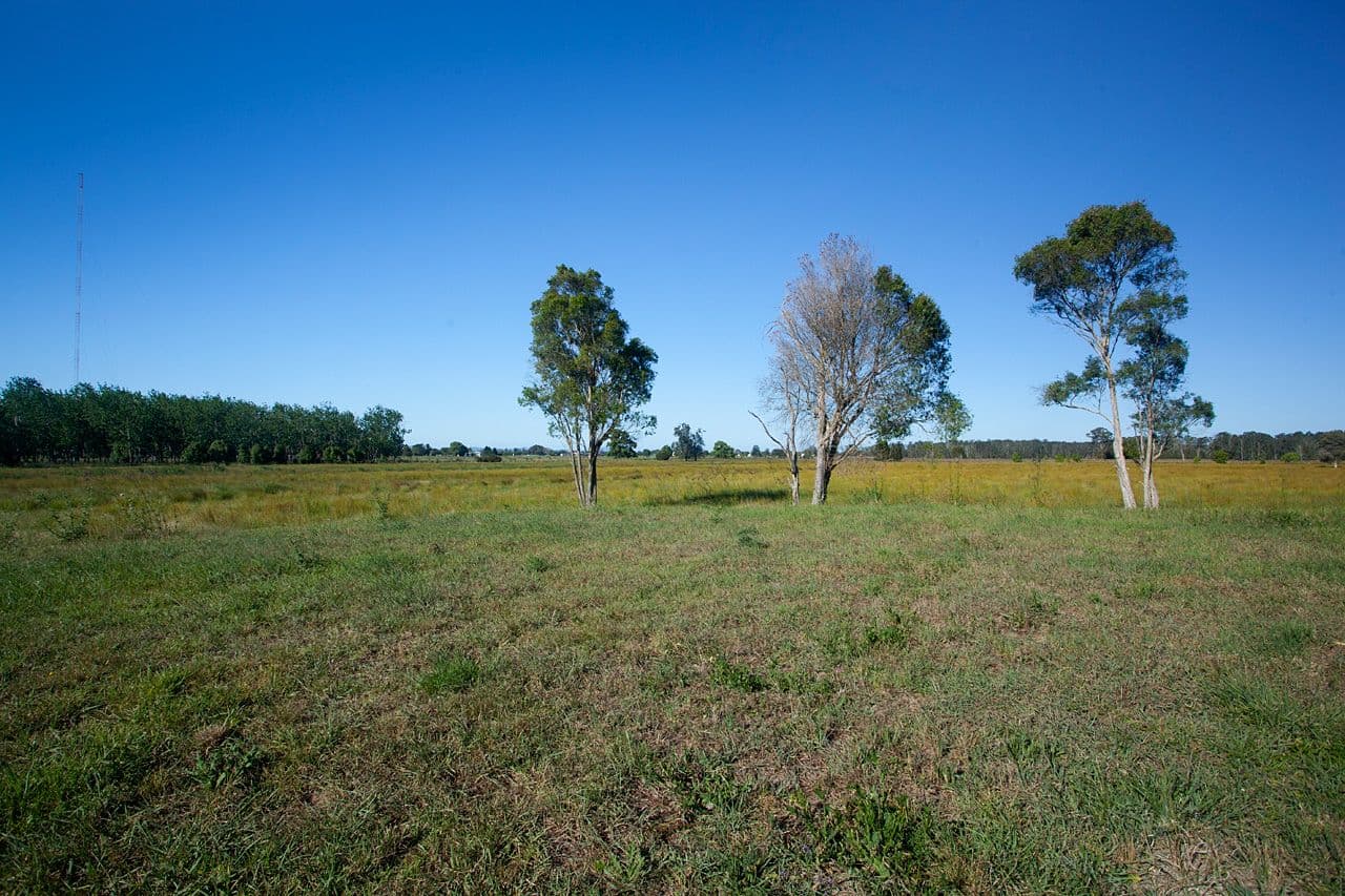 114 Manning River Drive, Taree NSW 2430, Taree South - Thumbnail 5