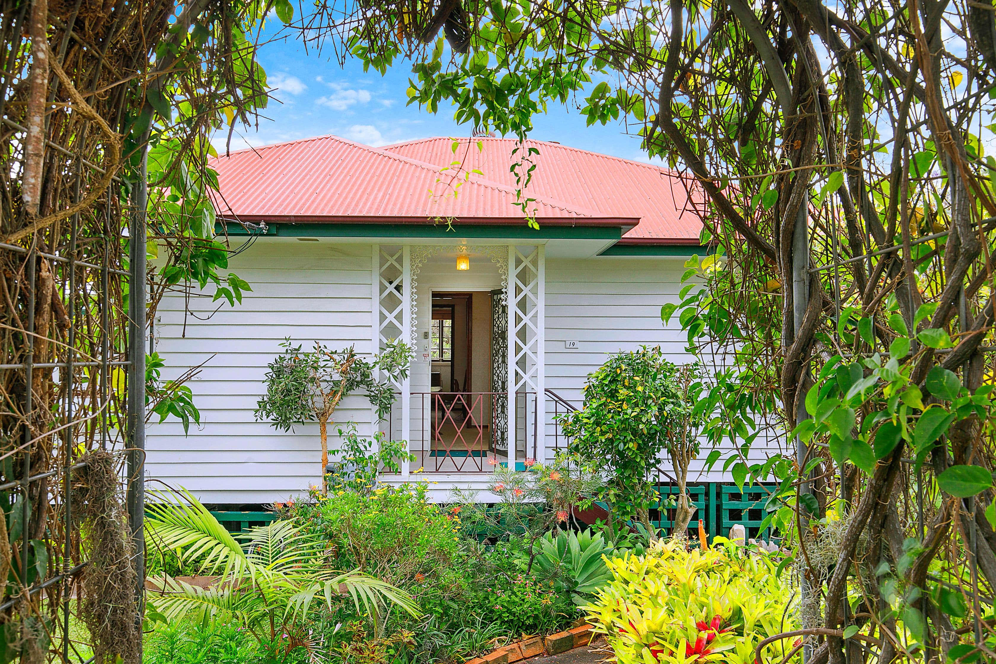 19 Matong Street, Hendra QLD 4011, Hendra - Thumbnail 6