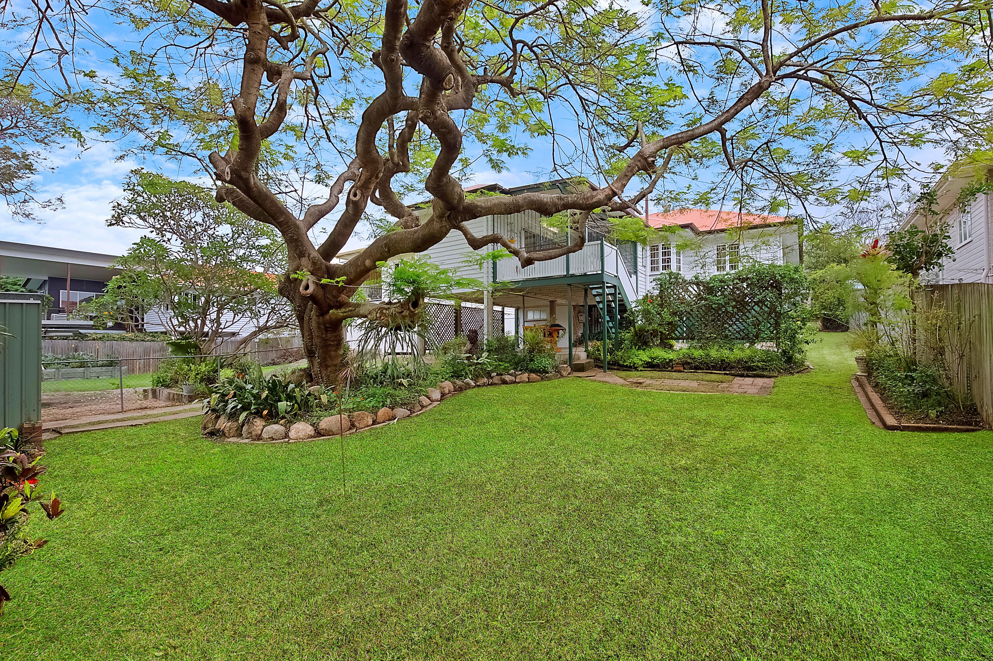 19 Matong Street, Hendra QLD 4011, Hendra - Thumbnail 7