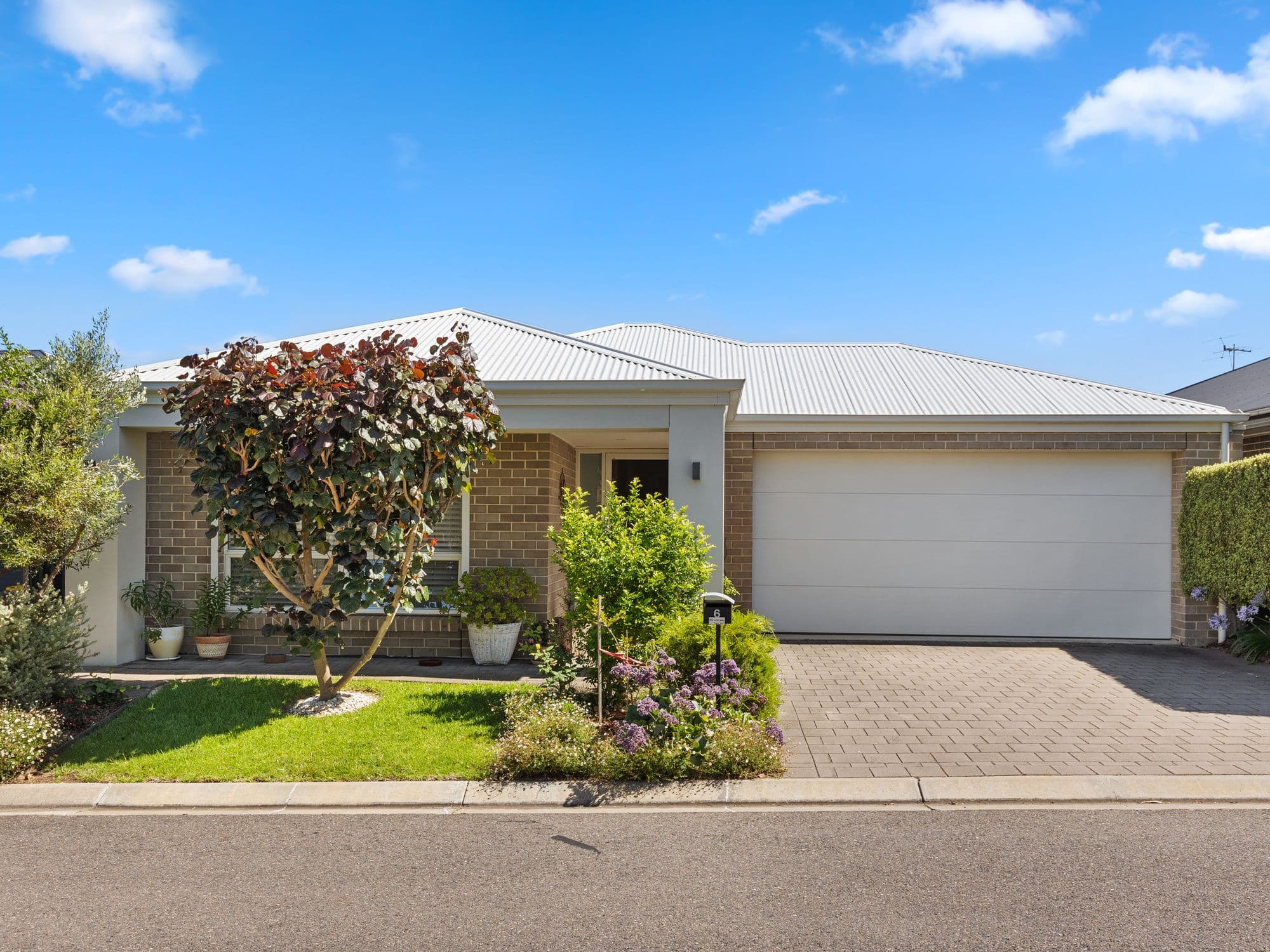 442 States Road, Morphett Vale SA 5162, Morphett Vale - Image 1