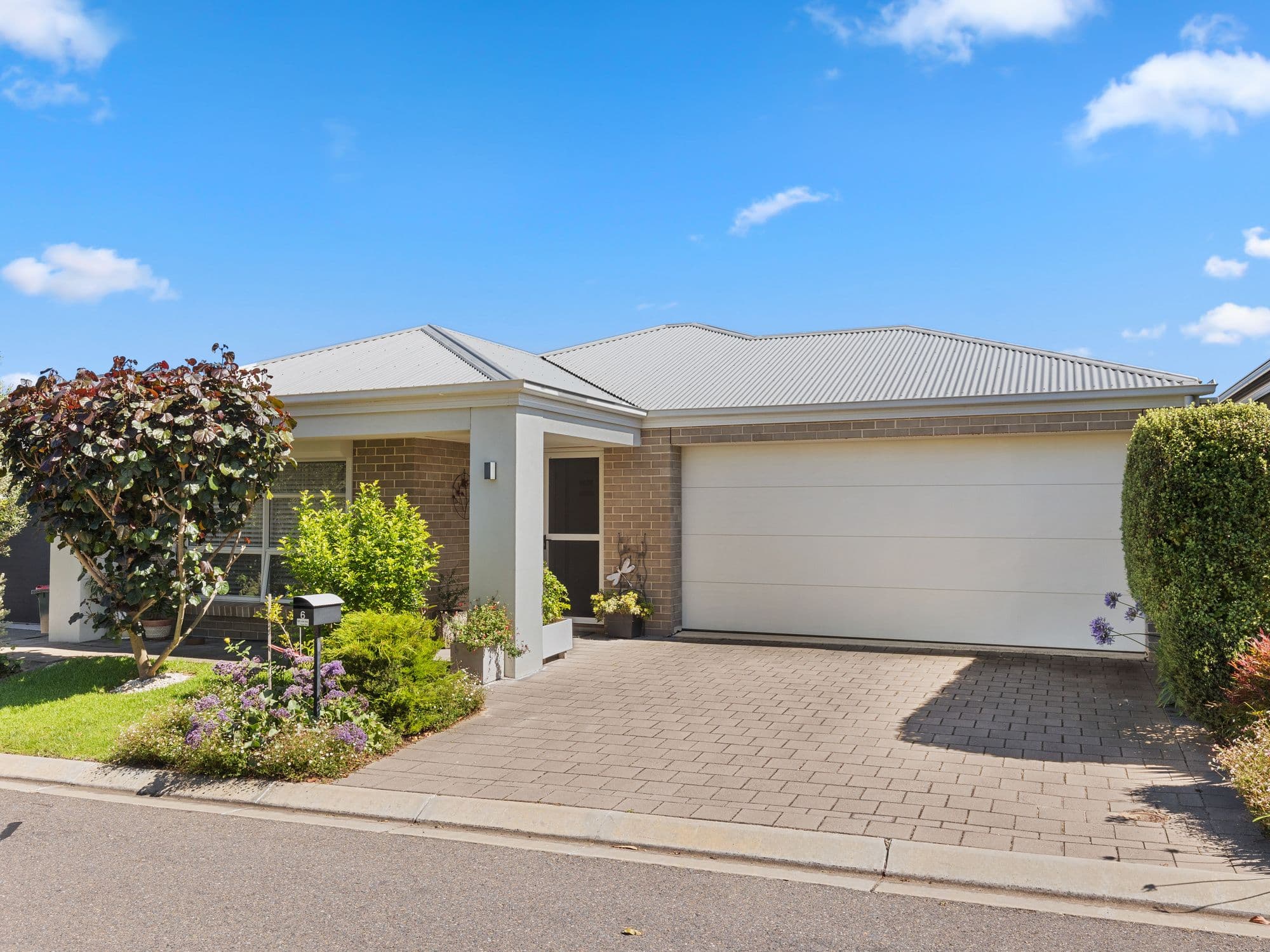 442 States Road, Morphett Vale SA 5162, Morphett Vale - Thumbnail 2