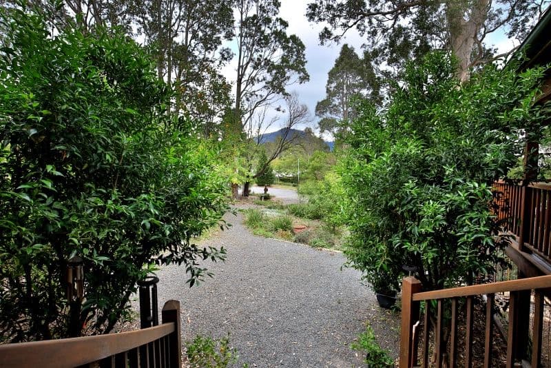 3 Maculata Close, Cambewarra NSW 2540, Cambewarra - Thumbnail 4