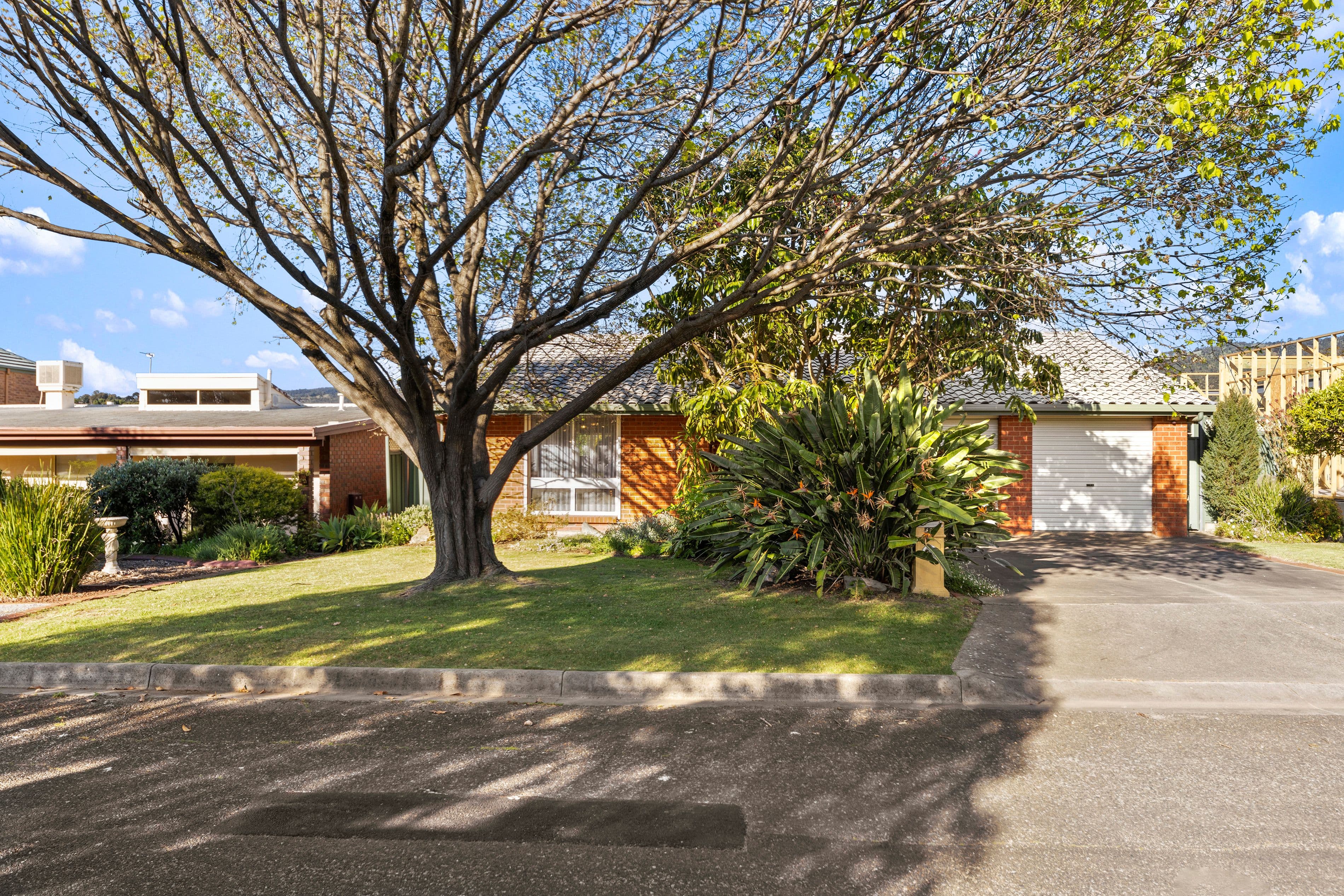 42 Griggs Drive, Athelstone SA 5076, Athelstone - Image 1