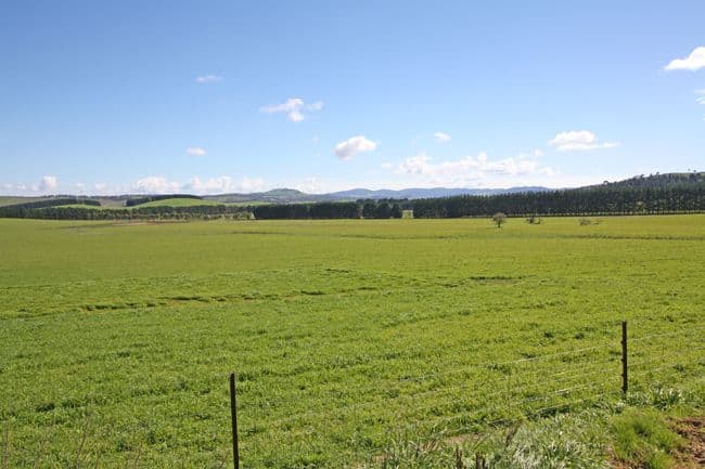 747 Mount Fairy Road, BUNGENDORE NSW 2621, Bungendore - Image 1