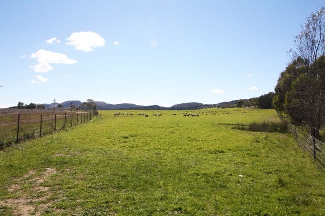 747 Mount Fairy Road, BUNGENDORE NSW 2621, Bungendore - Thumbnail 2