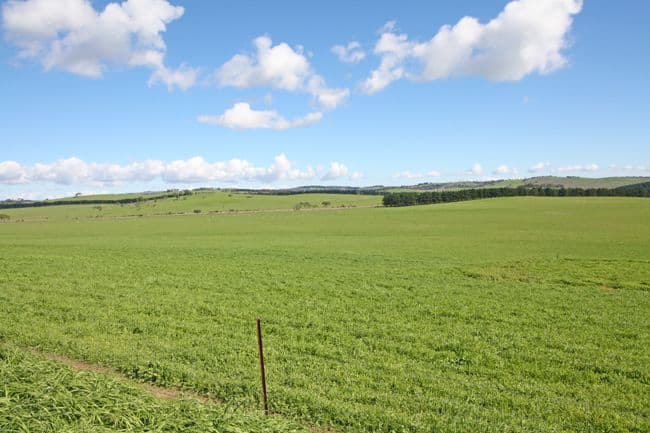 747 Mount Fairy Road, BUNGENDORE NSW 2621, Bungendore - Thumbnail 3