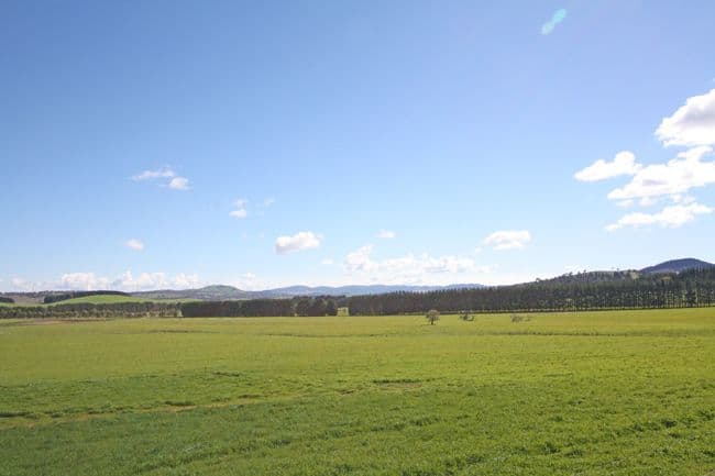 747 Mount Fairy Road, BUNGENDORE NSW 2621, Bungendore - Thumbnail 6