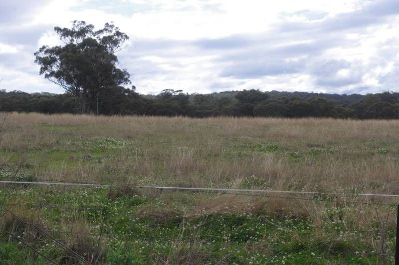 528 Fernhill Road, INVERELL NSW 2360, Inverell - Image 1