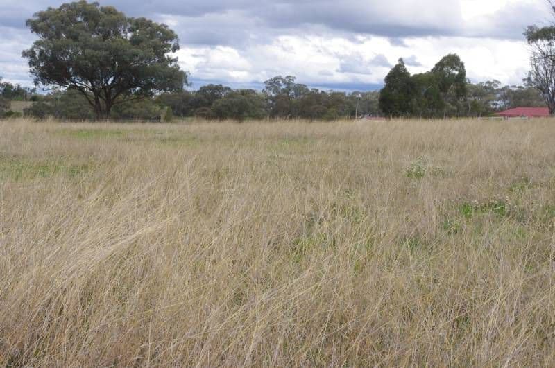 528 Fernhill Road, INVERELL NSW 2360, Inverell - Thumbnail 2