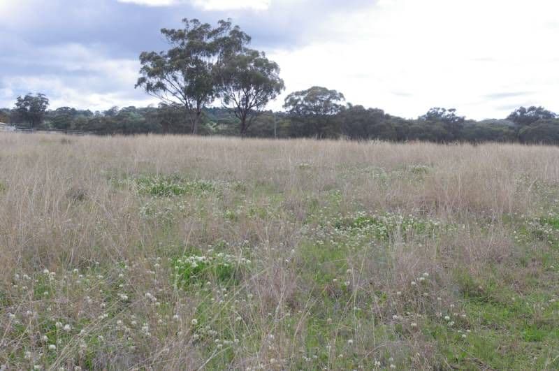 528 Fernhill Road, INVERELL NSW 2360, Inverell - Thumbnail 4