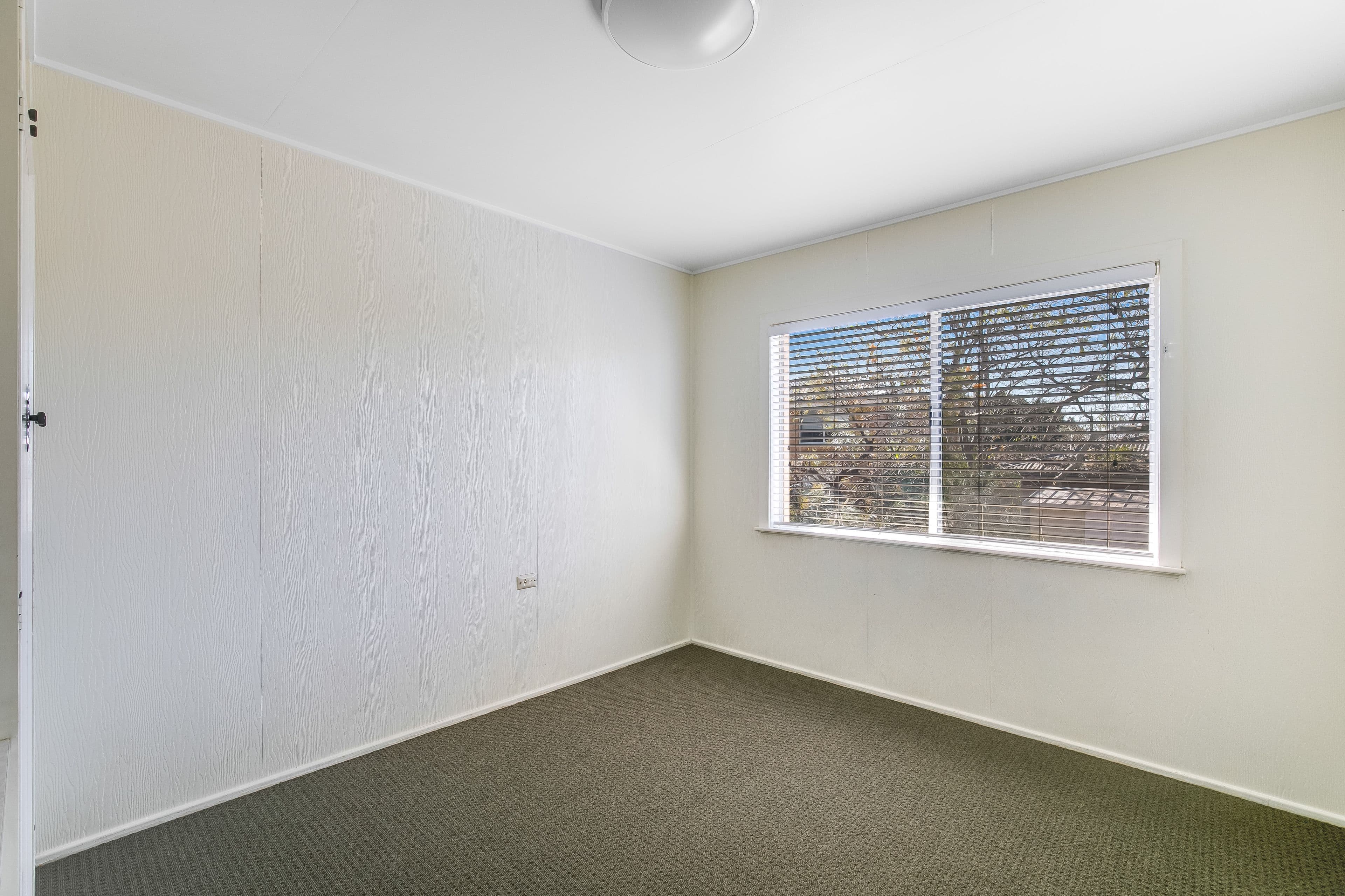 3 Boronia Street, Centenary Heights QLD 4350, Centenary Heights - Thumbnail 8