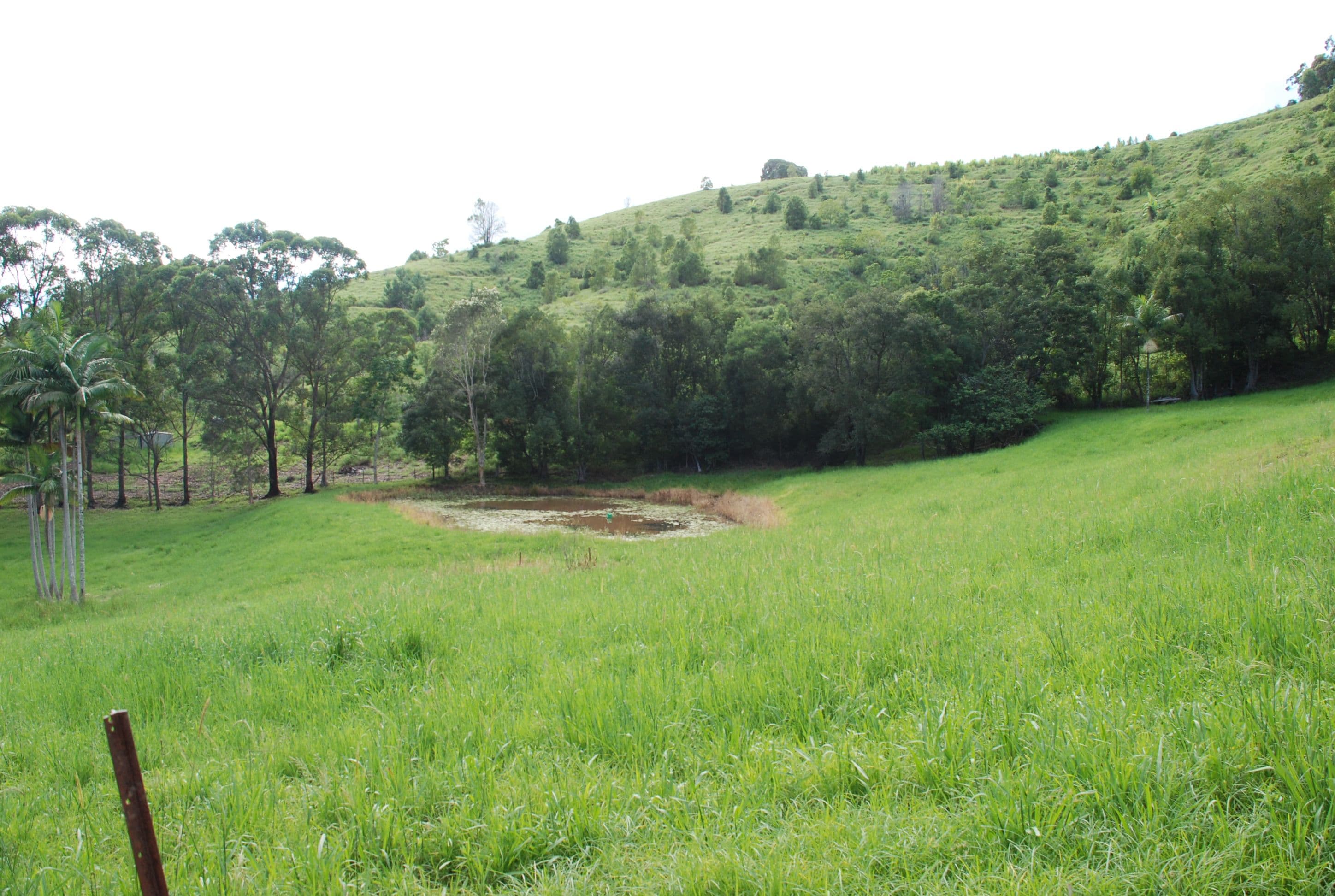 181 Mcconnells Road, Dunbible - Thumbnail 3