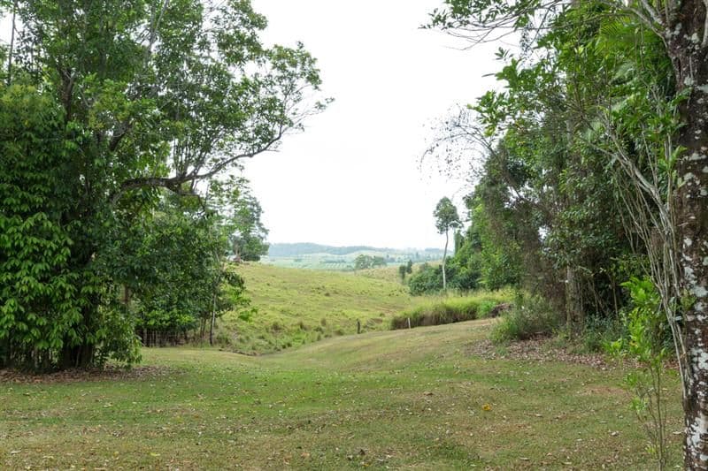 394 Palmerston Highway, Innisfail QLD 4860, Innisfail - Thumbnail 5