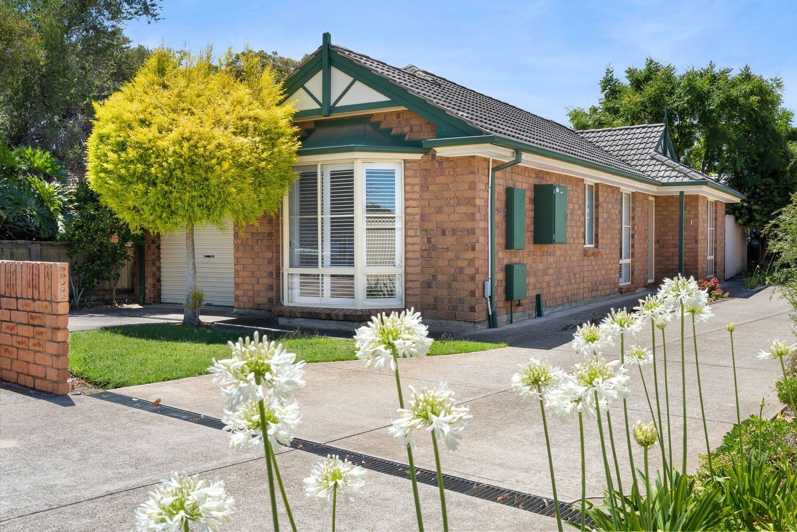 14 Cross Street, Lockleys SA 5032, Lockleys - Image 1