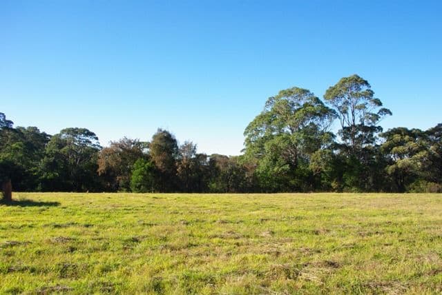 978 Comleroy Road, KURRAJONG NSW 2758, Kurrajong - Thumbnail 4