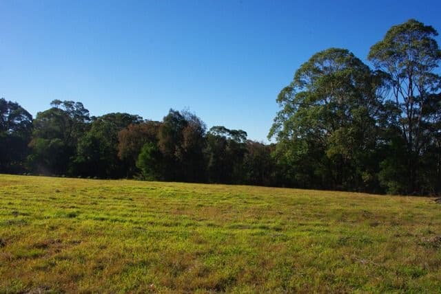 978 Comleroy Road, KURRAJONG NSW 2758, Kurrajong - Thumbnail 5