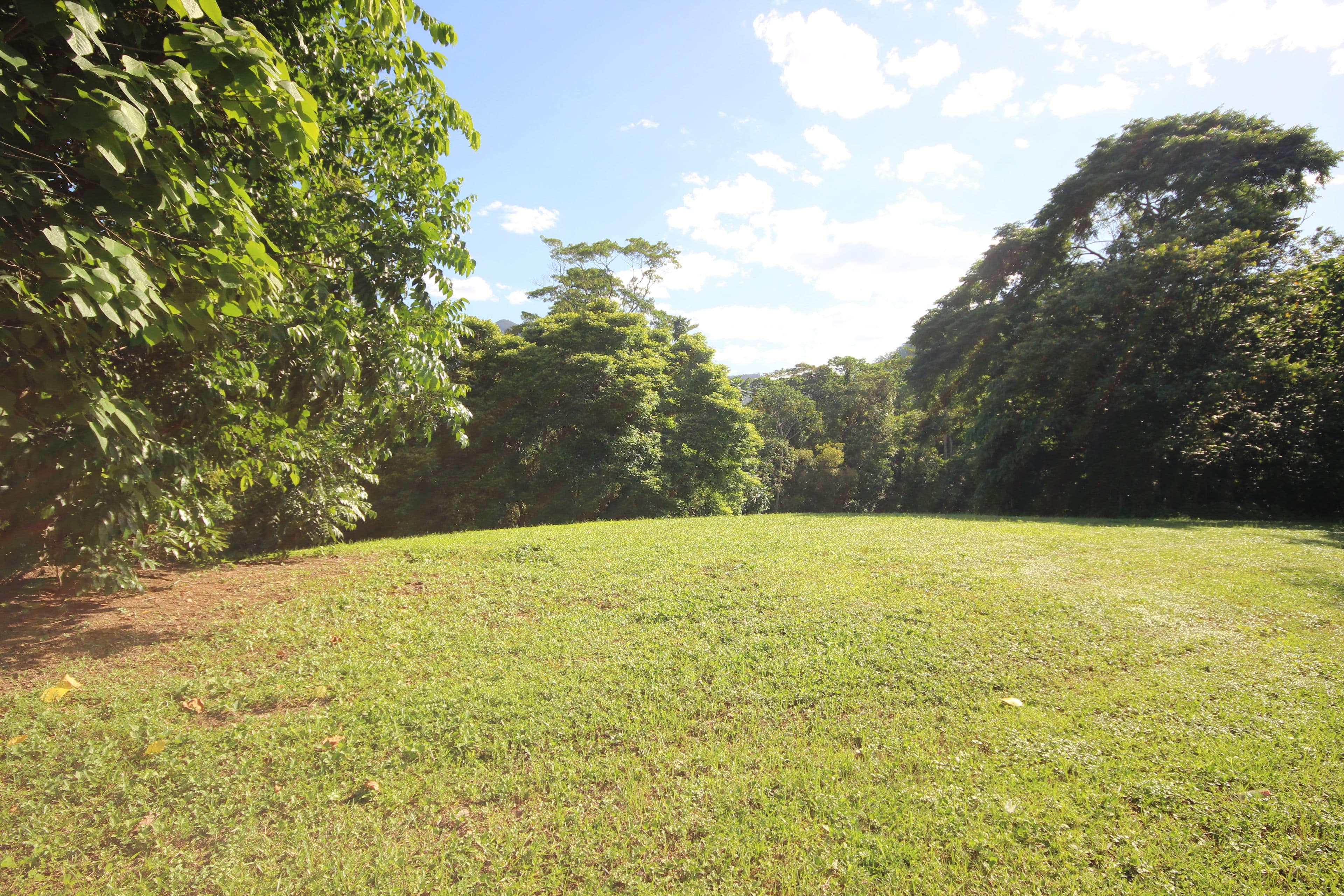 16 Outlook Drive, Bentley Park QLD 4869, Bentley Park - Thumbnail 5