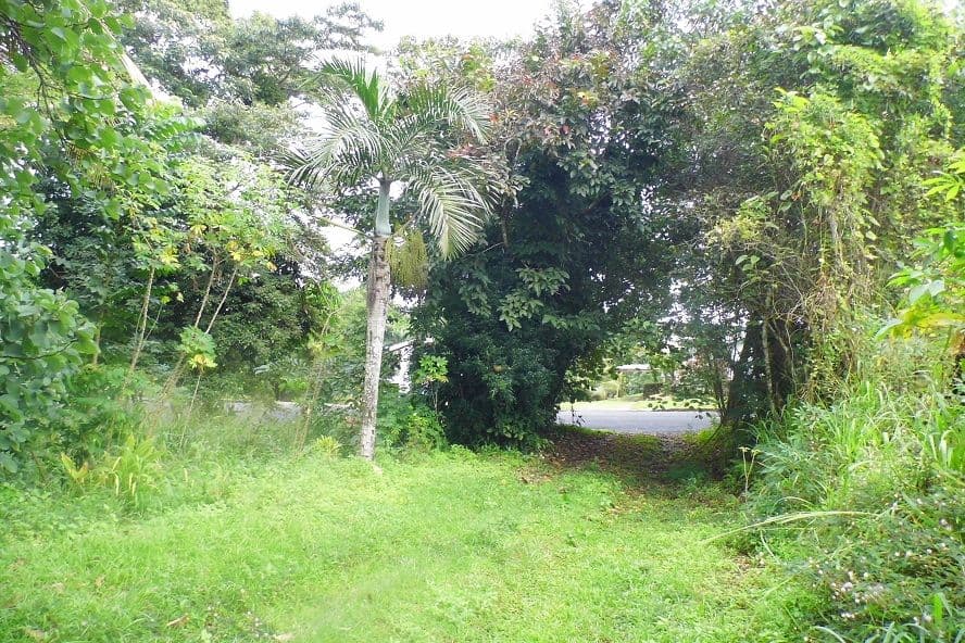 73 RYAN, East Innisfail QLD 4860, East Innisfail - Thumbnail 8