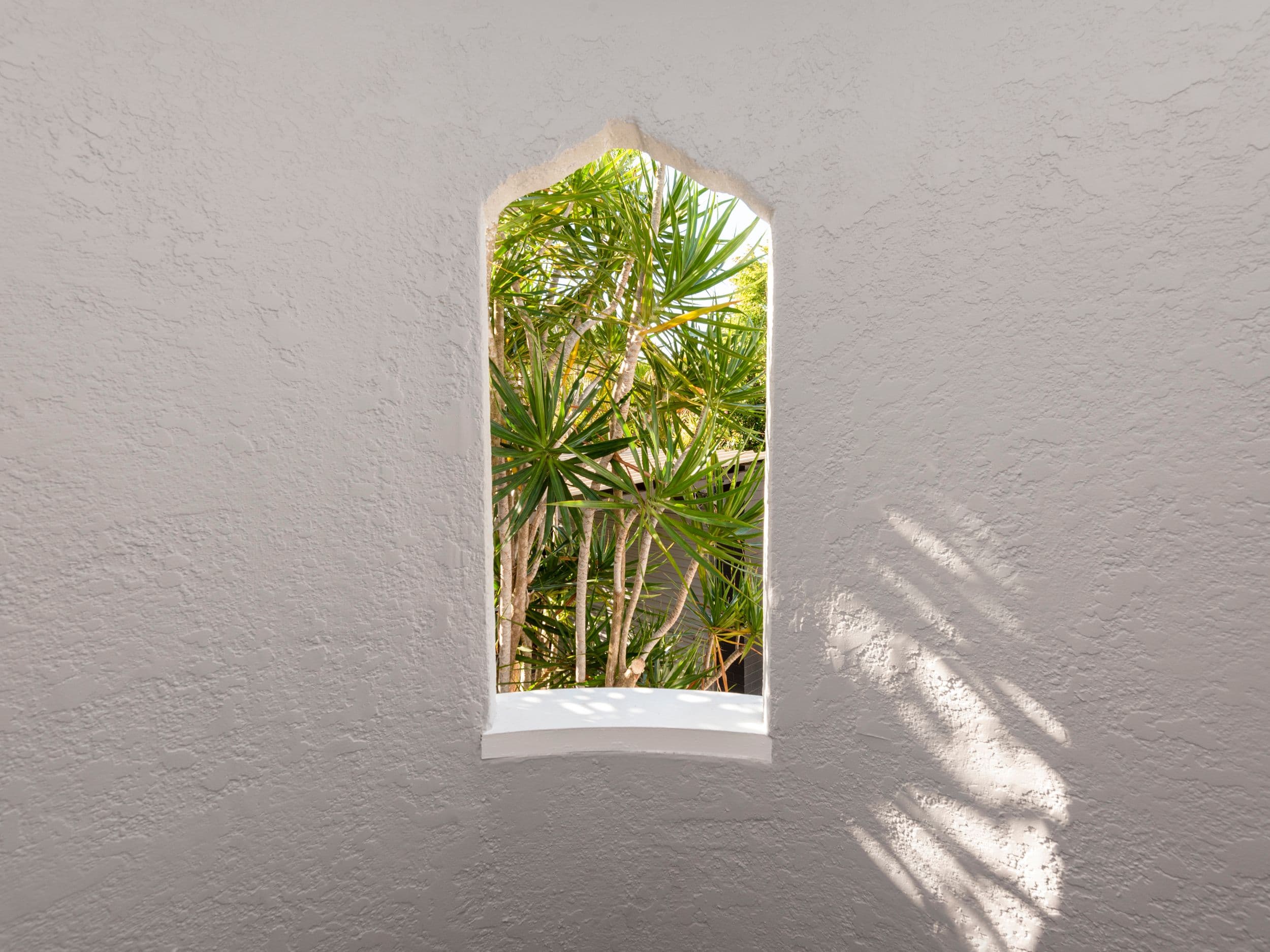 79 Beardow Street, Lismore Heights NSW 2480, Lismore Heights - Thumbnail 2