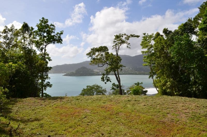 Lot 36 Botanica Drive, CANNONVALE QLD 4802, Cannonvale - Image 1