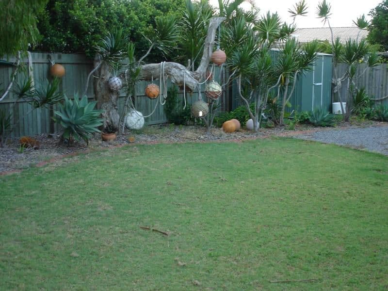 38 Yaringa Avenue, BUDDINA QLD 4575, Buddina - Thumbnail 3