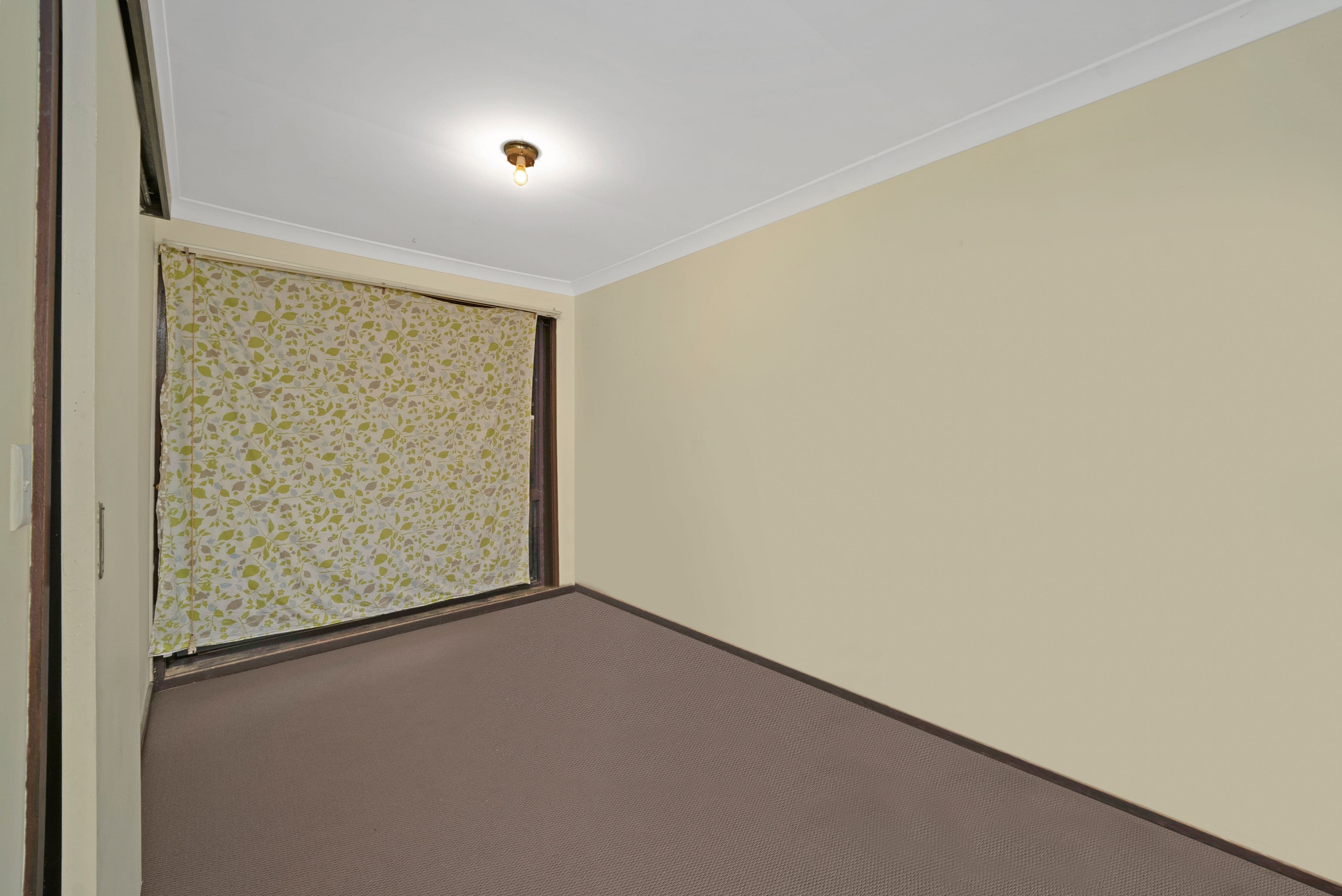 10 Brian Court, Kallangur QLD 4503, Kallangur - Thumbnail 4