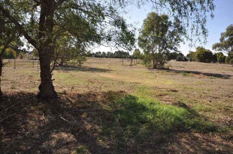 50 Eagle Court, TEESDALE VIC 3328, Teesdale - Thumbnail 4