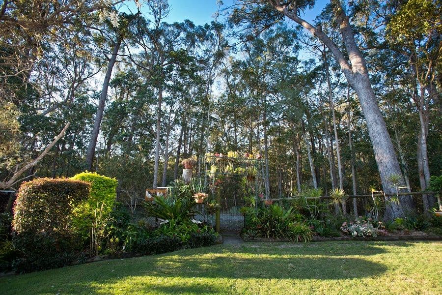 32 Deloraine Drive, SPRINGWOOD QLD 4127, Springwood - Thumbnail 2