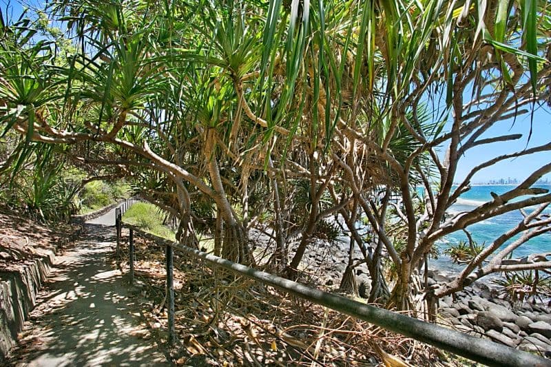 24 Goodwin Terrace, Burleigh Heads QLD 4220, Burleigh Heads - Thumbnail 7
