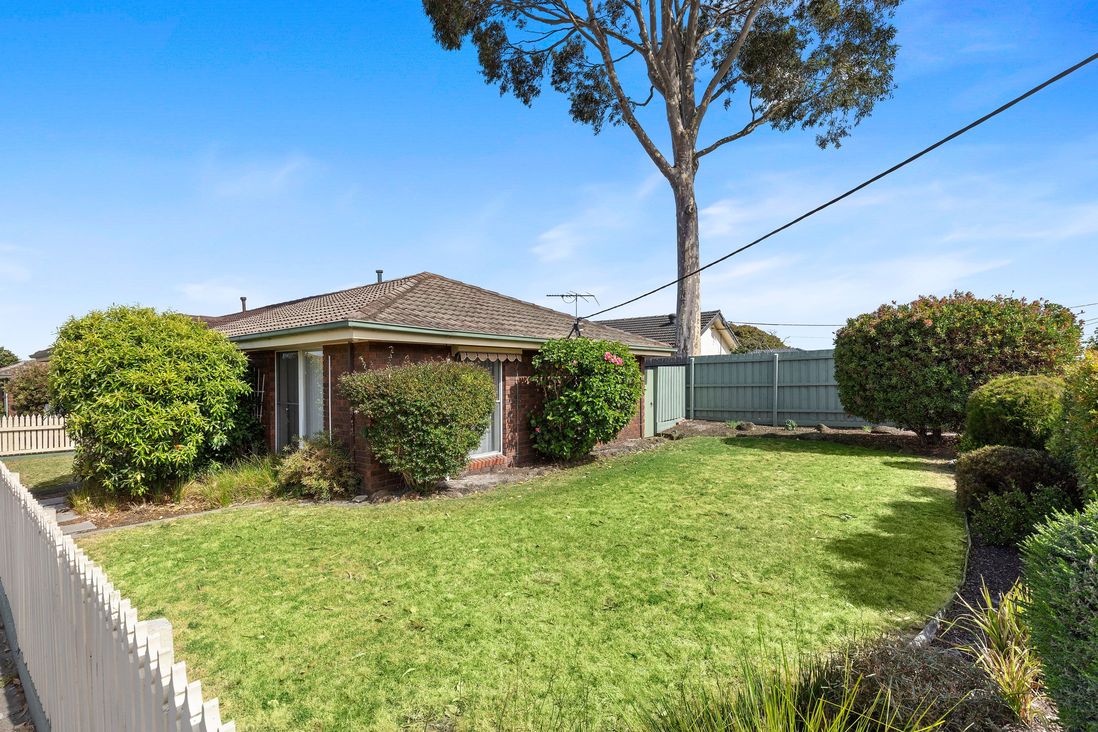 16 Hilda Street, Cheltenham VIC 3192, Cheltenham - Thumbnail 3