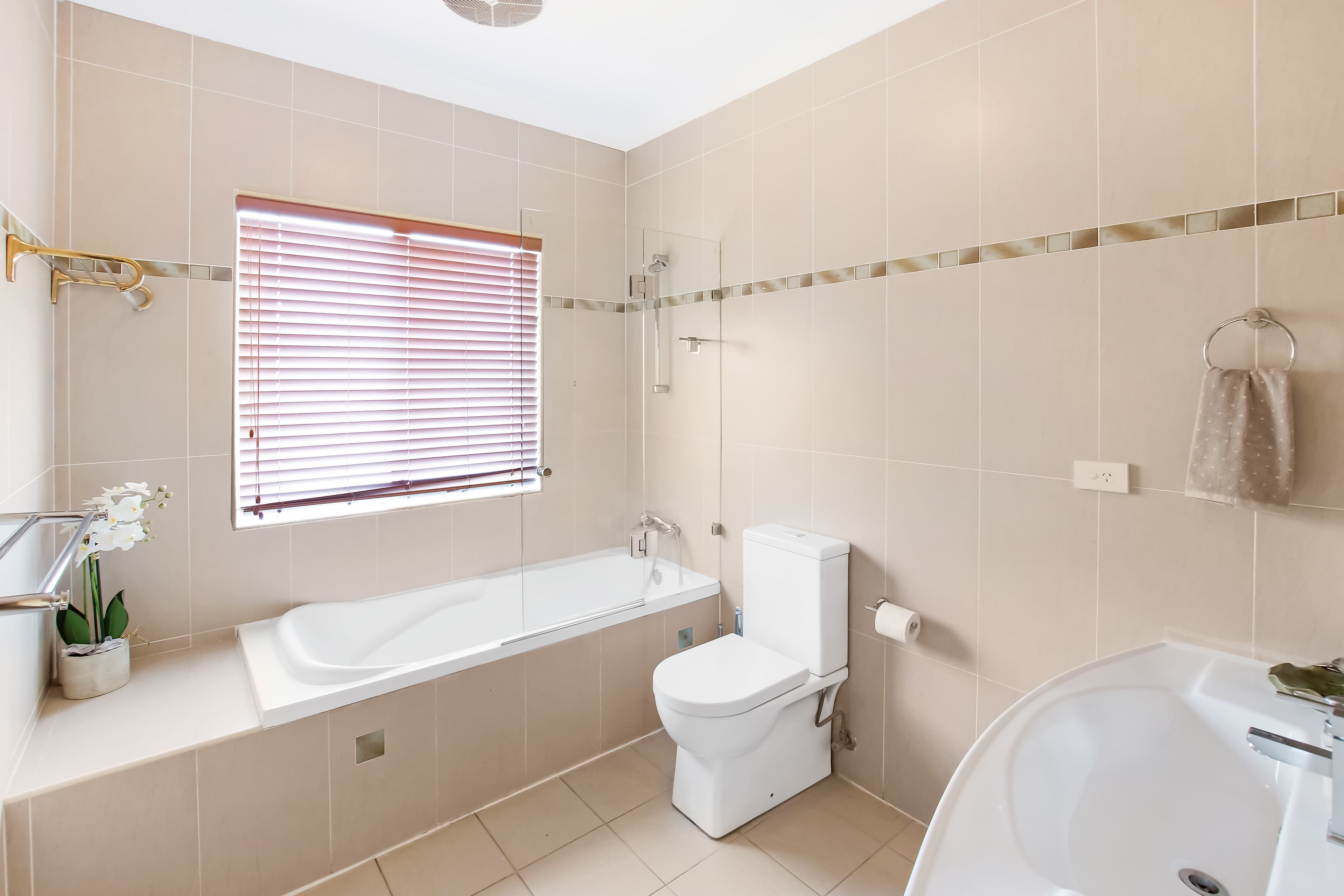 19 Mount Street, Constitution Hill NSW 2145, Constitution Hill - Thumbnail 8