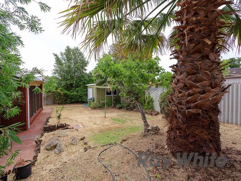 28 Gorham Way, SPEARWOOD WA 6163, Spearwood - Thumbnail 6
