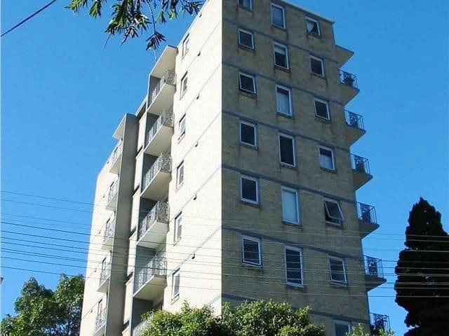 13  Campbell Avenue, PADDINGTON NSW 2021, Paddington - Thumbnail 4