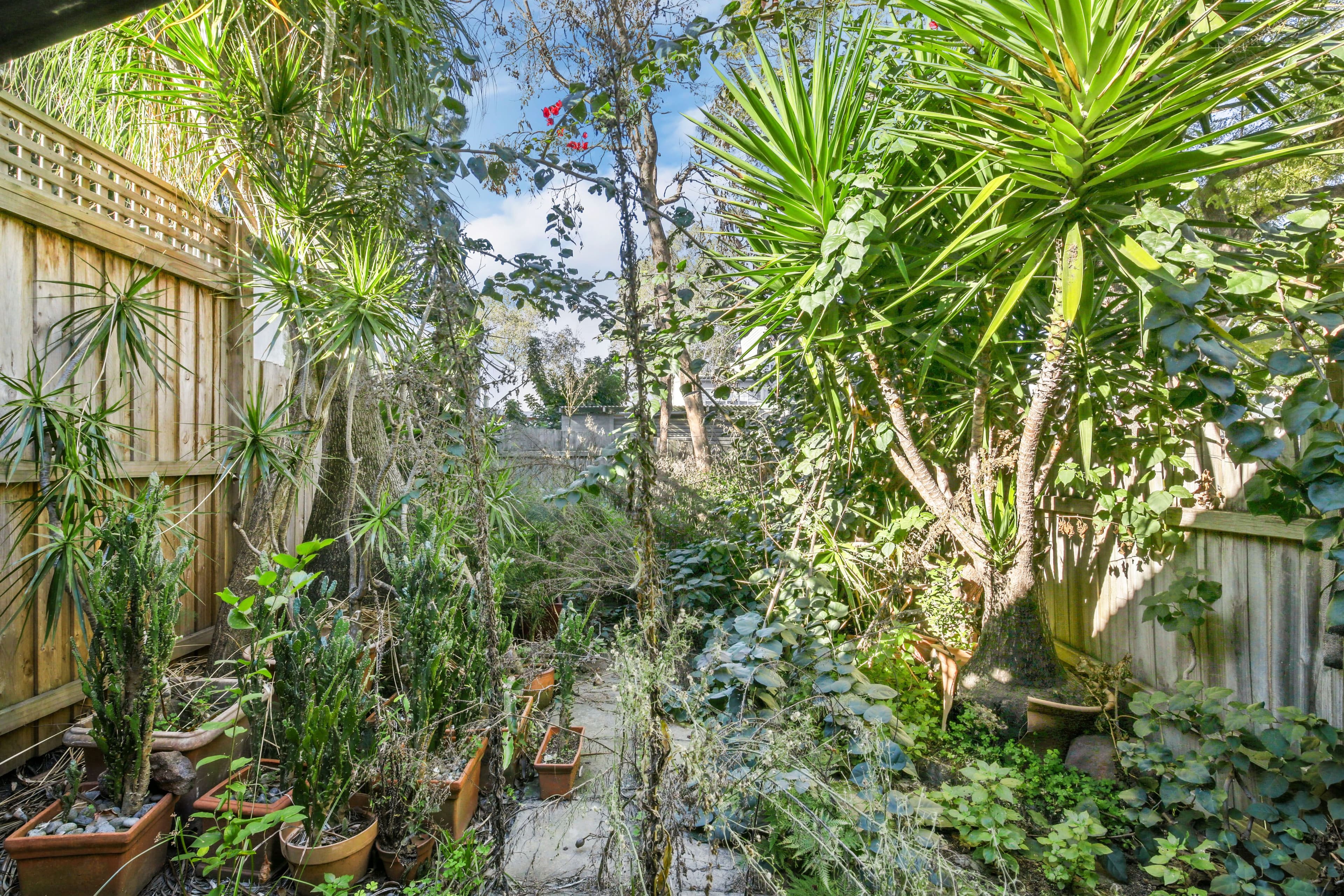 48 Charles Street, Erskineville - Thumbnail 6
