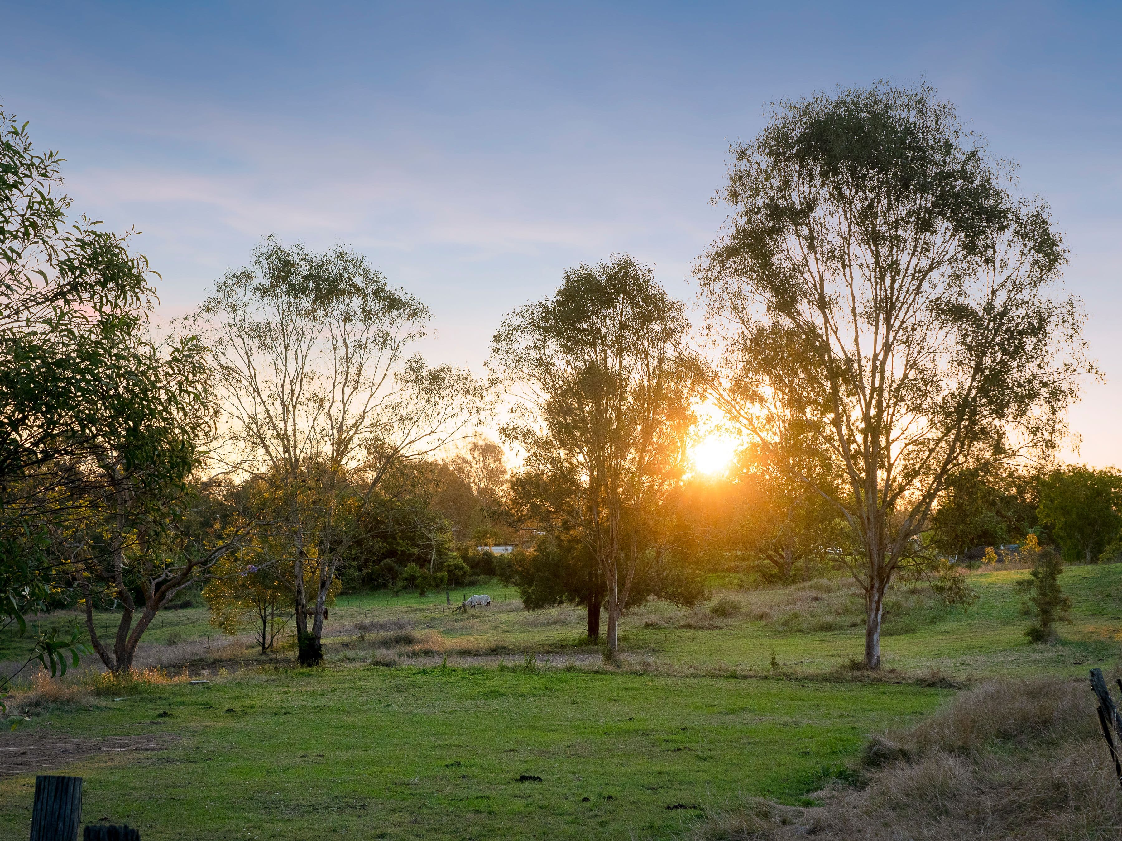 10 Andrew Street, Bundamba QLD 4304, Bundamba - Thumbnail 3