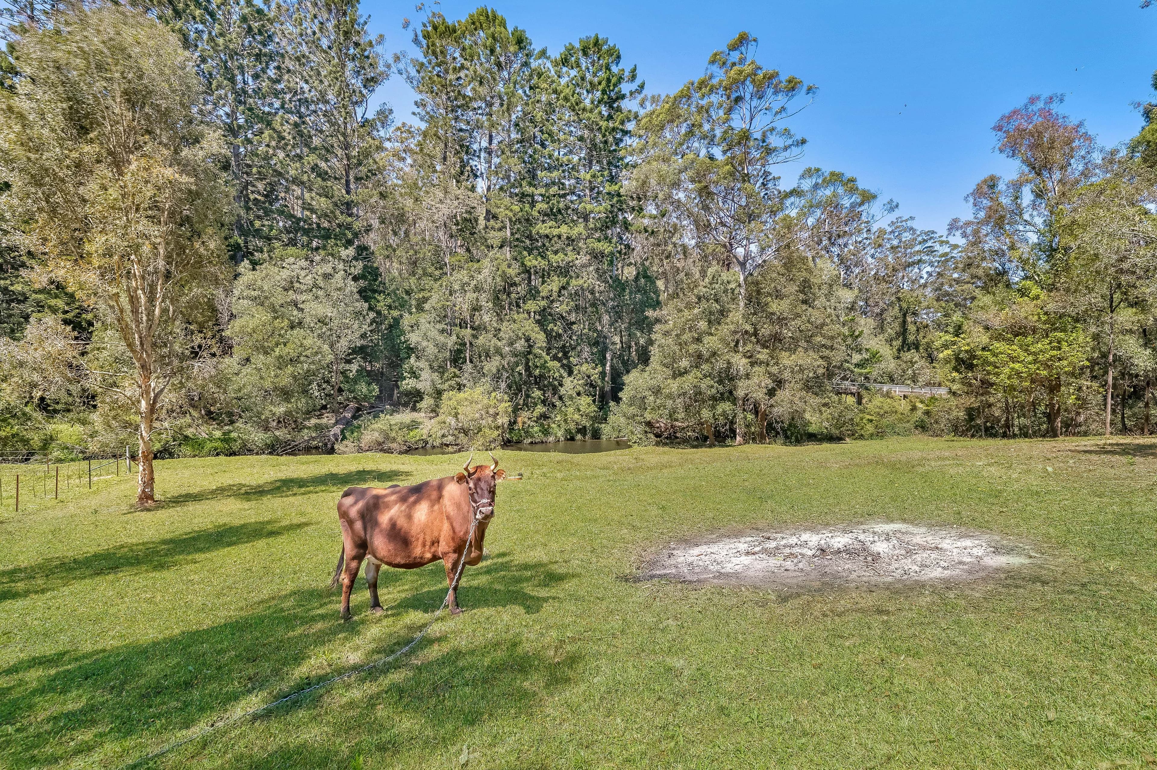 4 Davenport Drive, Bonogin QLD 4213, Bonogin - Thumbnail 2