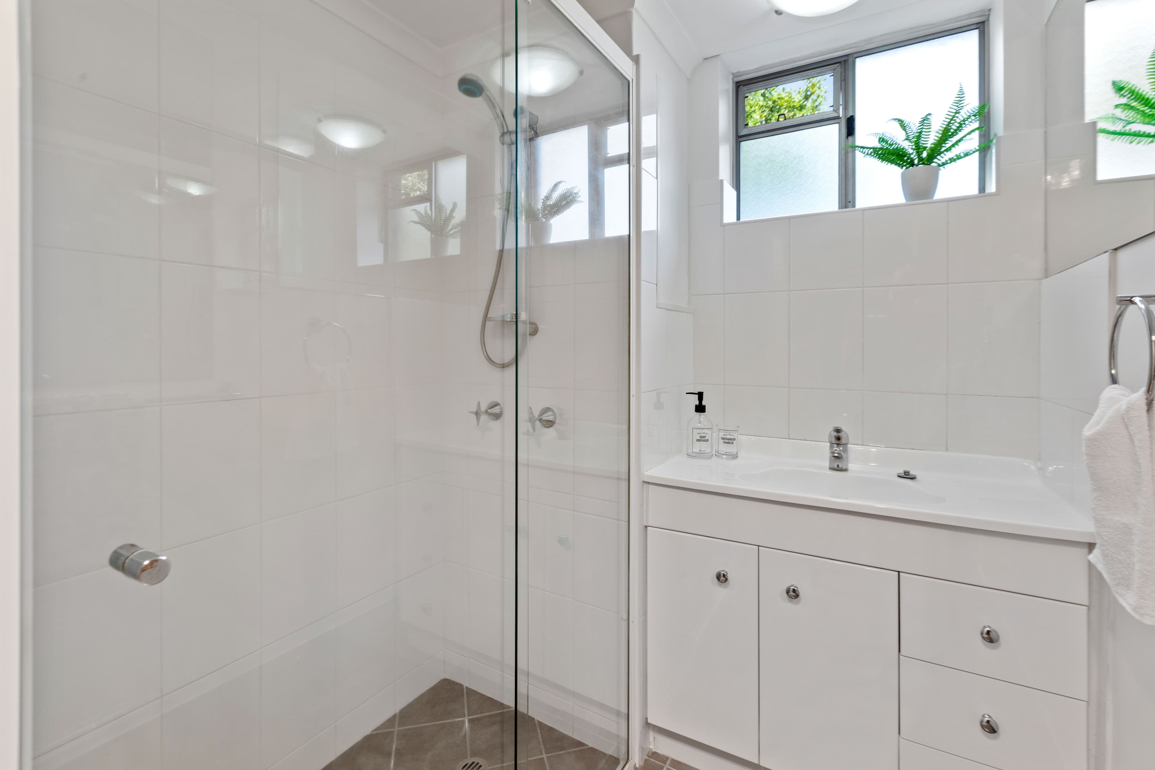 24 Beet Street, Coorparoo QLD 4151, Coorparoo - Thumbnail 6