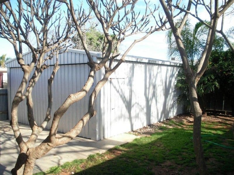 41 McKendrick Avenue, MILDURA VIC 3500, Mildura - Thumbnail 3