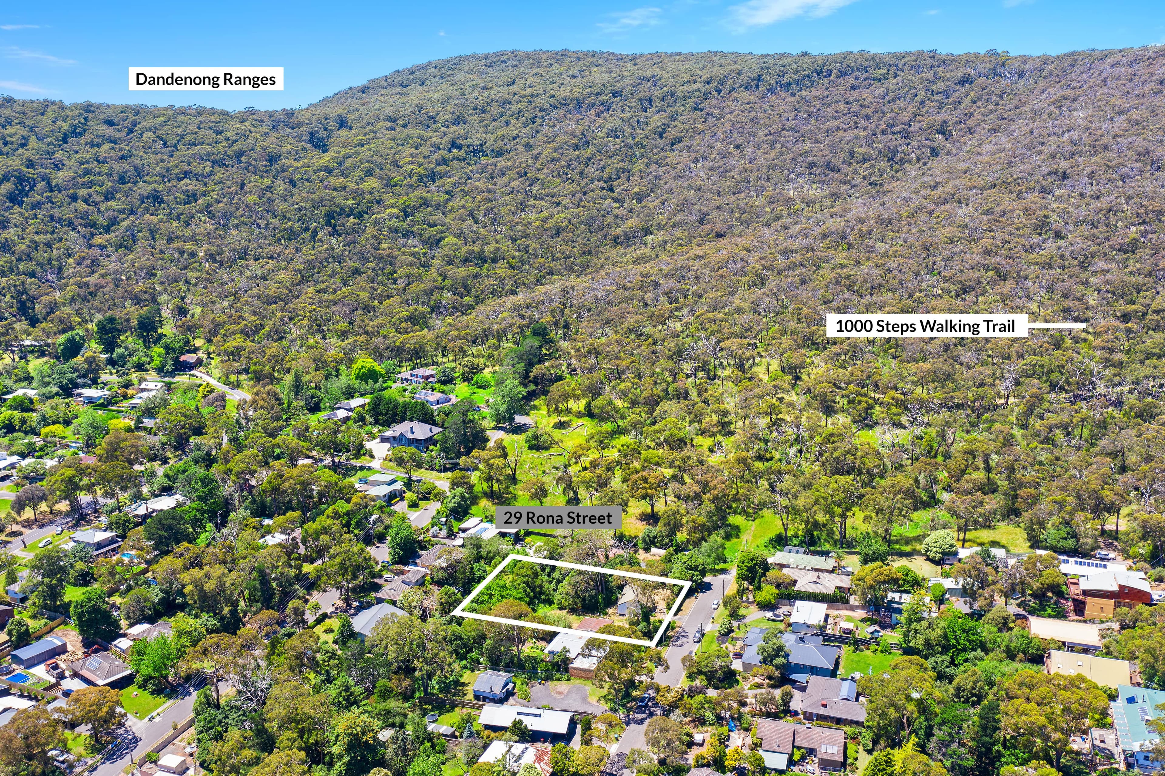 29 Rona Street, Ferntree Gully VIC 3156, Ferntree Gully - Thumbnail 5