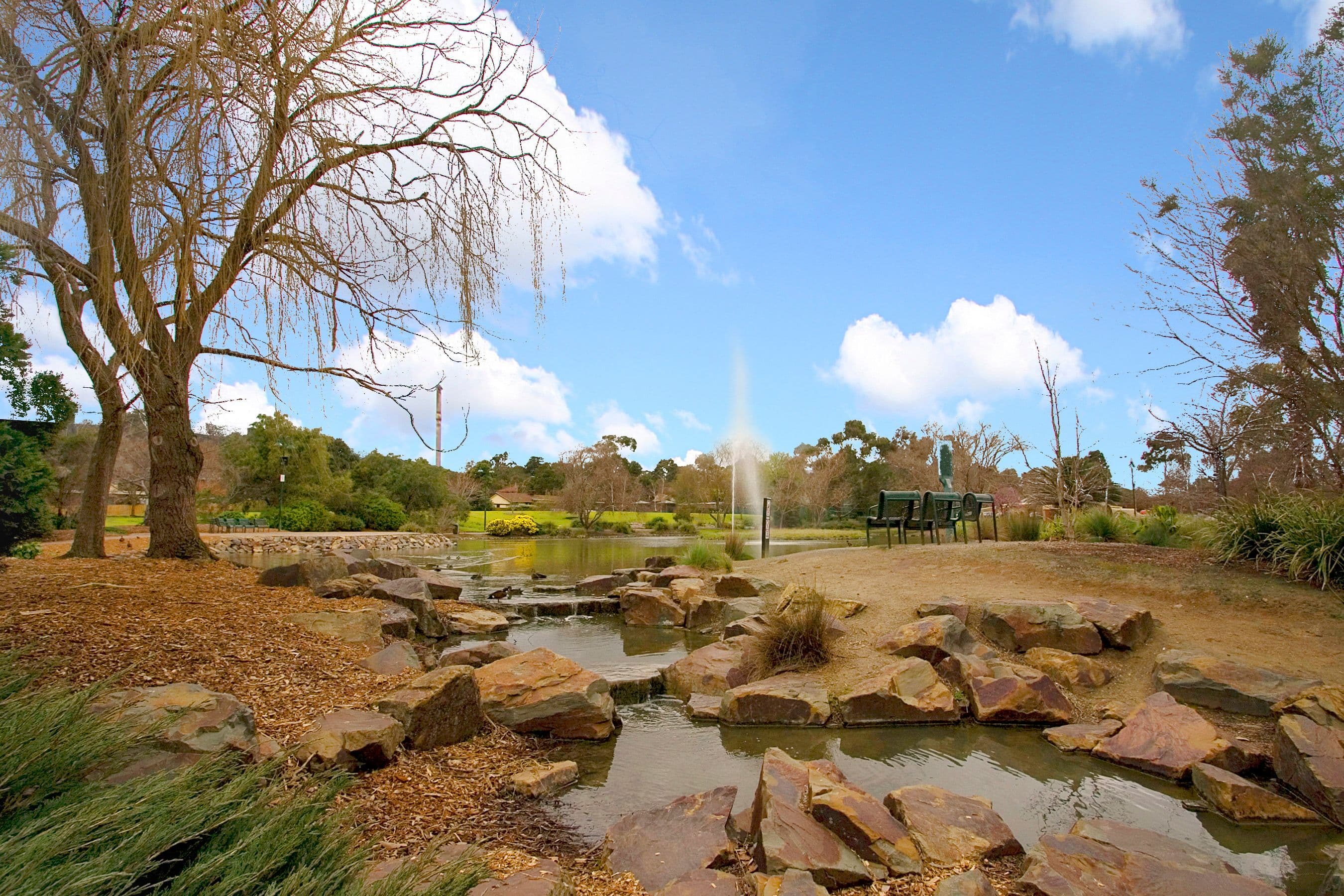 29 Rona Street, Ferntree Gully VIC 3156, Ferntree Gully - Thumbnail 7