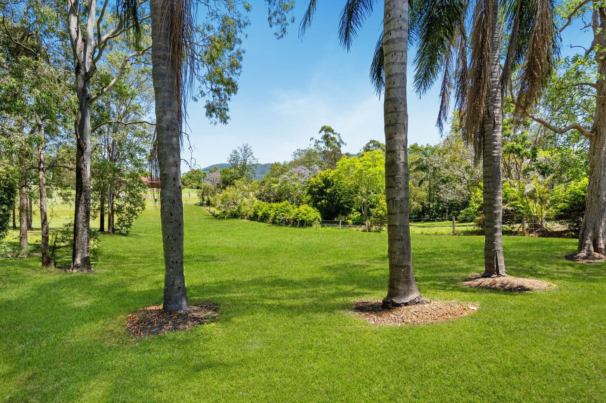 43 Greenwood Crescent, Samford Valley QLD 4520, Samford Valley - Thumbnail 4