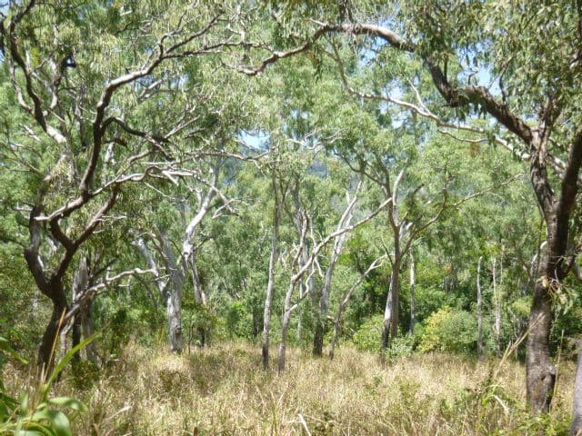 103 ESK VALLEY Road, Cooktown QLD 4895, Cooktown - Thumbnail 8
