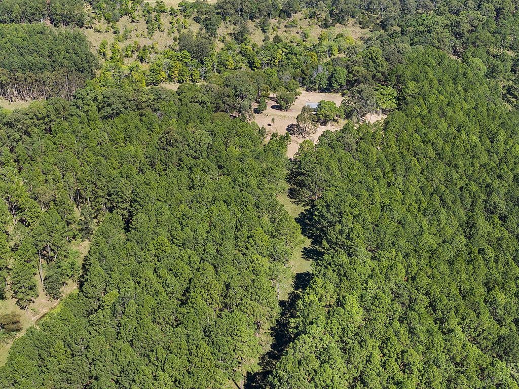 Lot 75 Unnamed Road off Kinmond Creek Road., Cootharaba QLD 4565, Cootharaba - Thumbnail 4