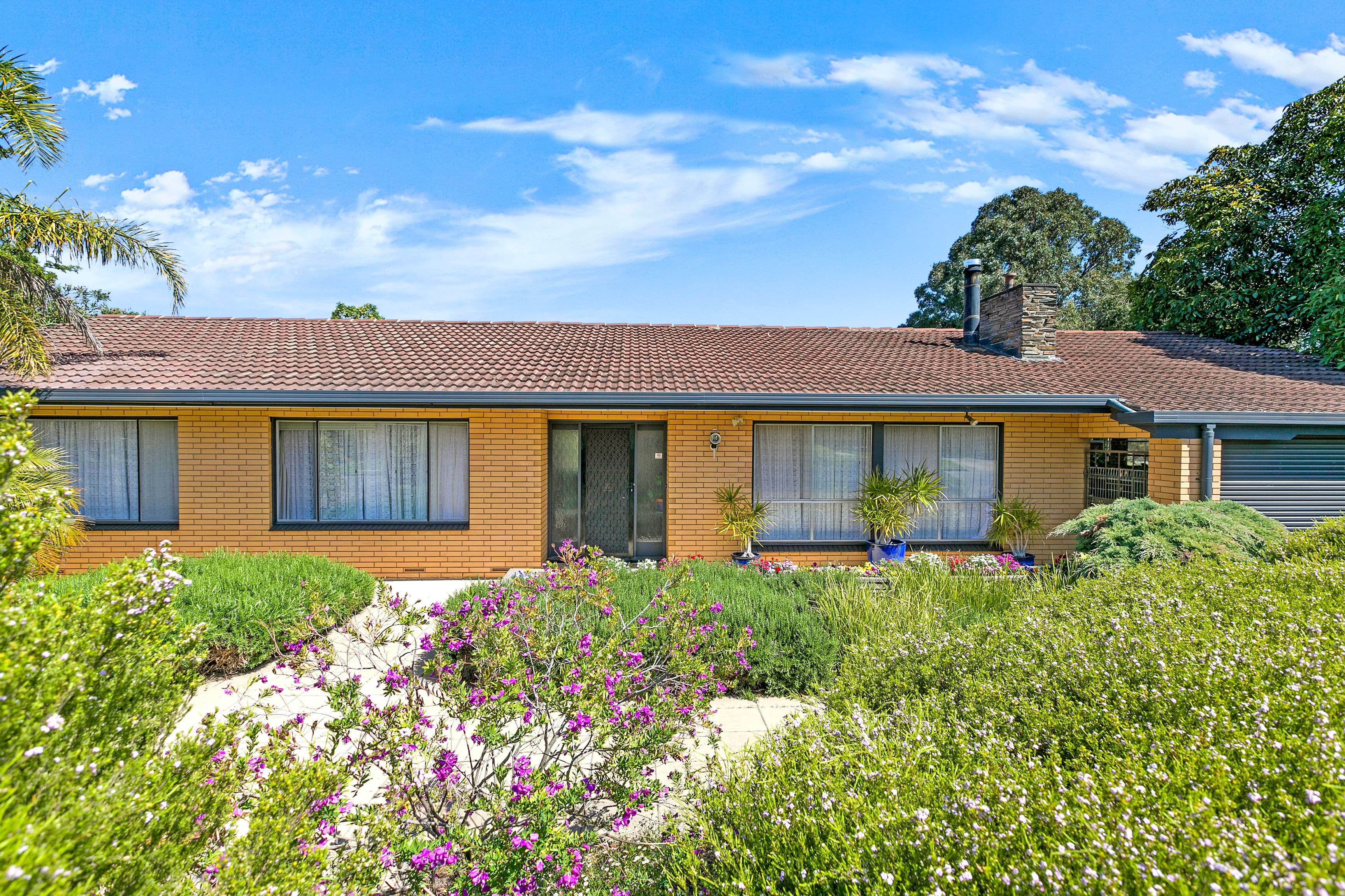 11 Rosemary Drive, Modbury North SA 5092, Modbury North - Image 1