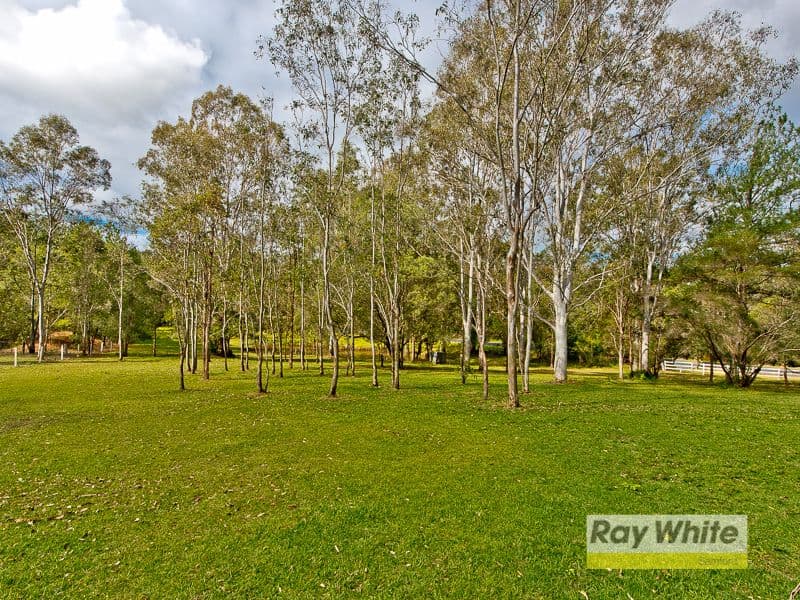 4 Mountain View Court, Samford Valley QLD 4520, Samford Valley - Thumbnail 6