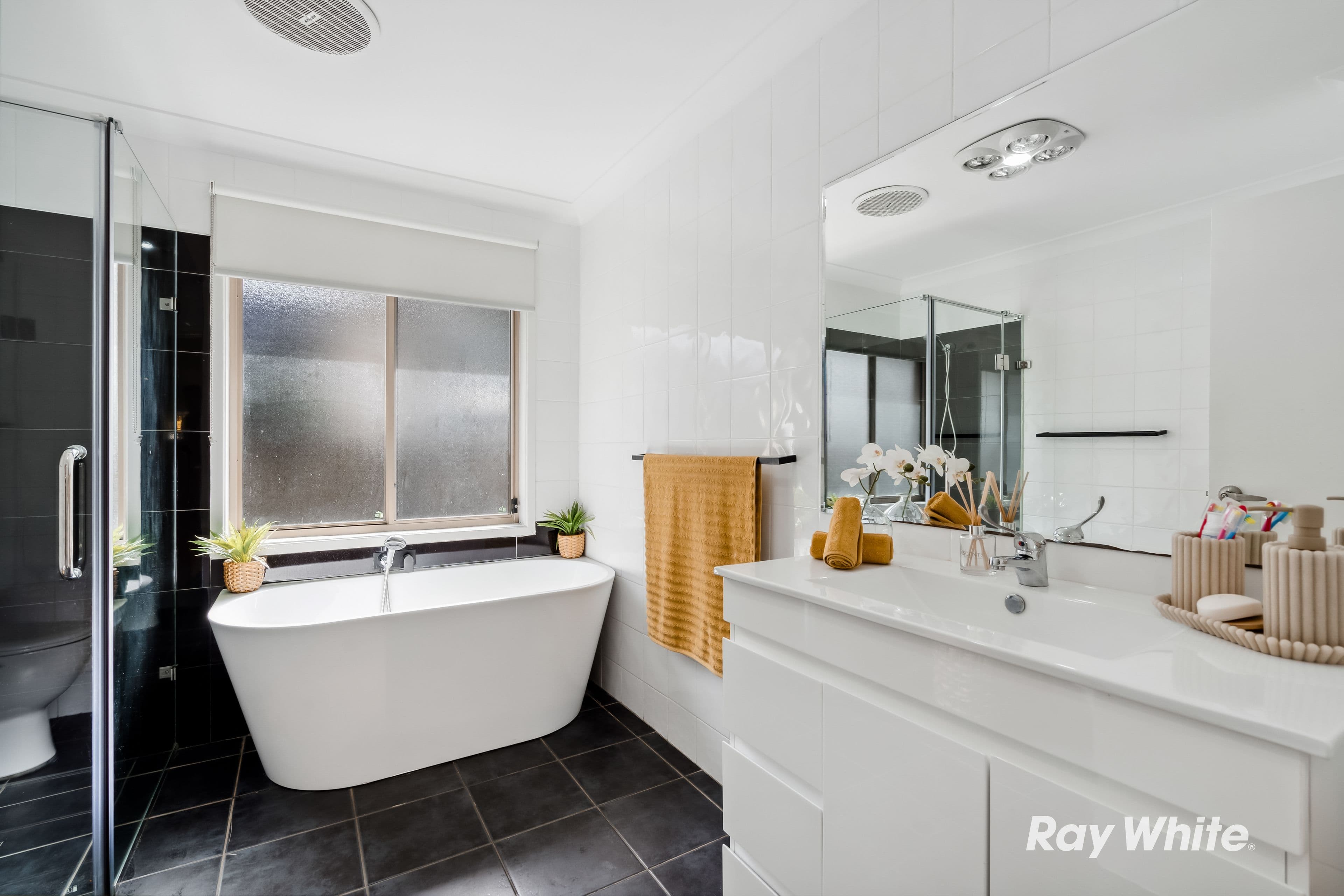 3 Katrina Street, Seven Hills NSW 2147, Seven Hills - Thumbnail 8