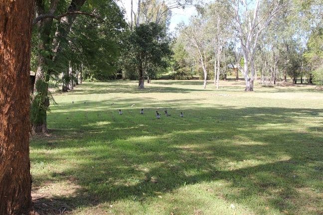 272 Esk Hampton Road, ESK QLD 4312, Esk - Thumbnail 7
