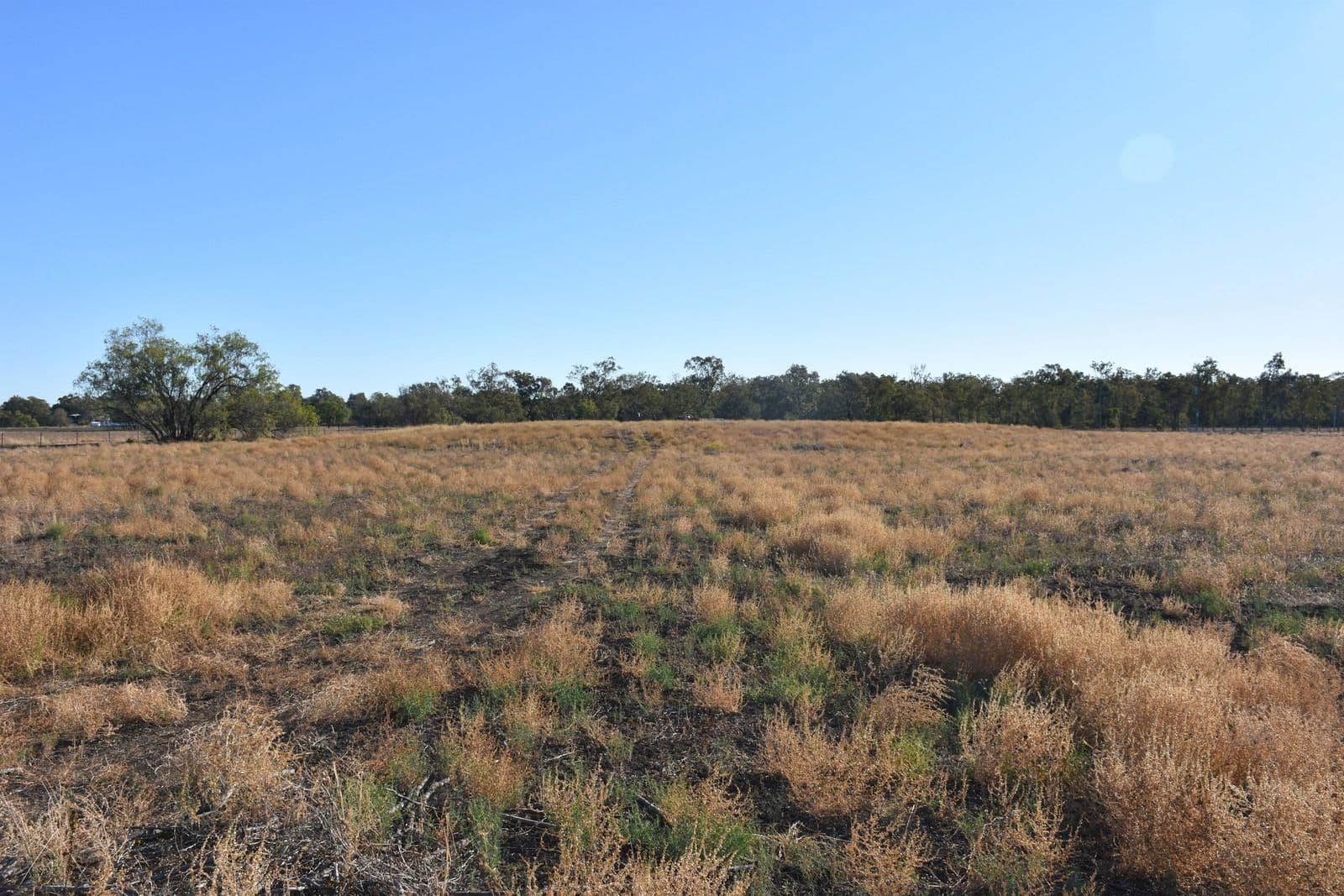 Lot 2 DP110772 Mallee Road, Moree NSW 2400, Moree - Image 1