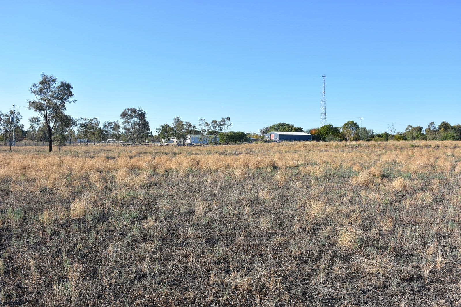 Lot 2 DP110772 Mallee Road, Moree NSW 2400, Moree - Thumbnail 4